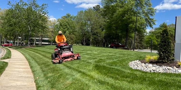 front yard landscaping