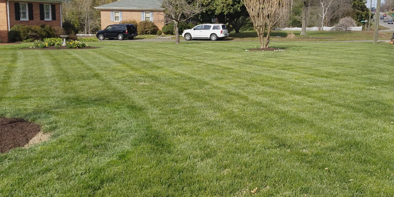 front yard landscaping