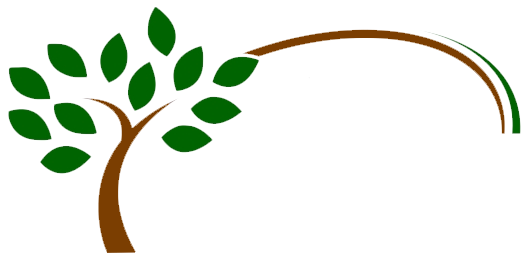 Landscaping Services in Williamsburg, VA